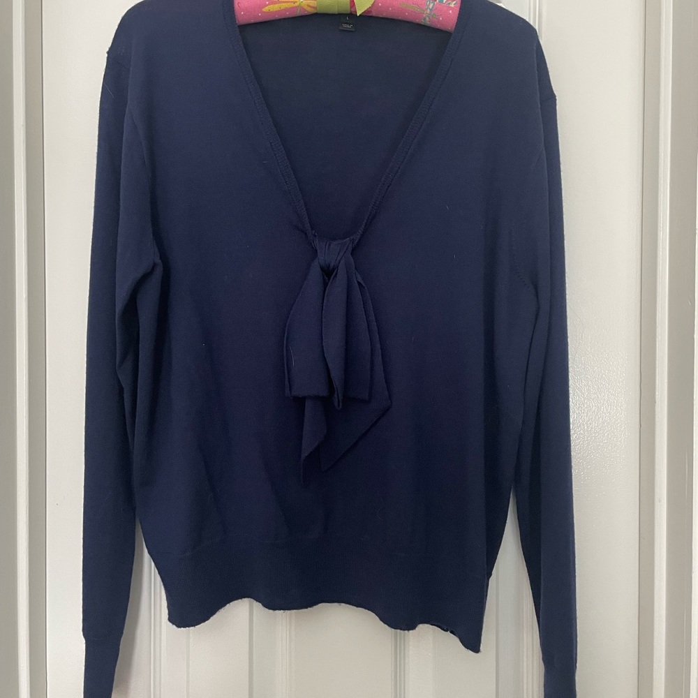 J Crew navy sweater